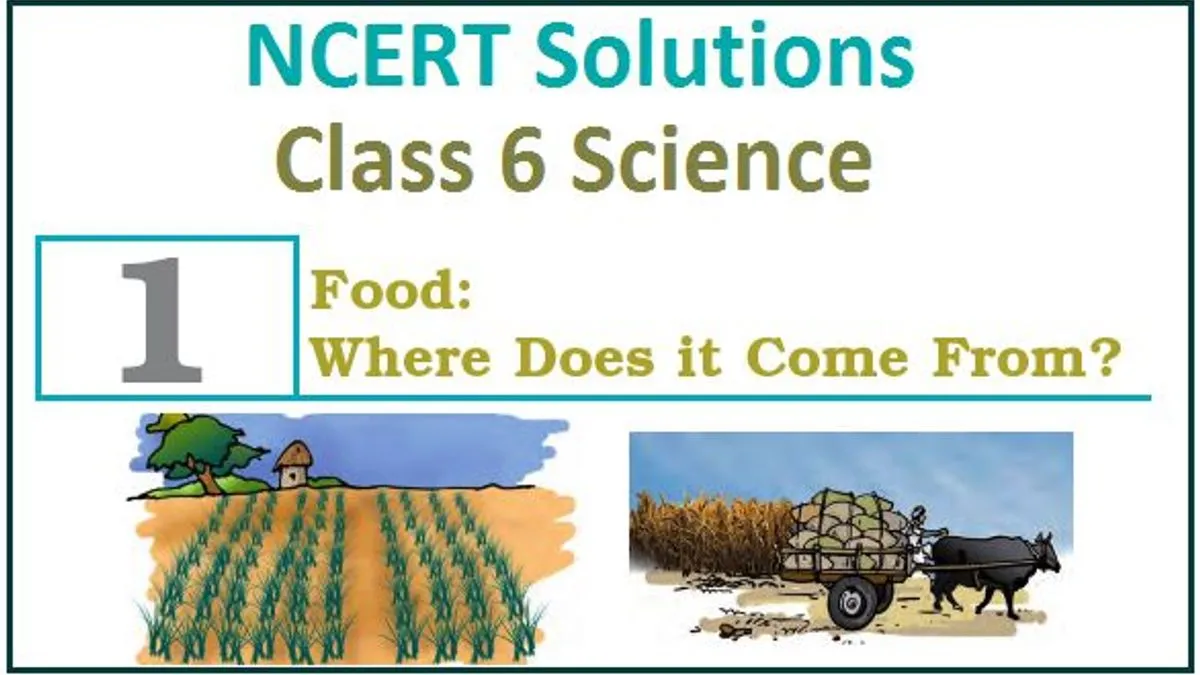 NCERT Class 6 Science Solutions Chapter 1 Food: Where Does It Come From