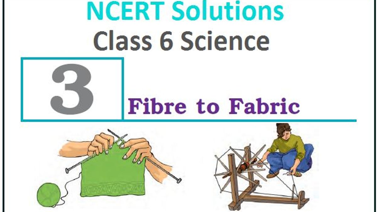 NCERT Solutions for Class 6 Science Chapter 3 Fibre To Fabric PDF