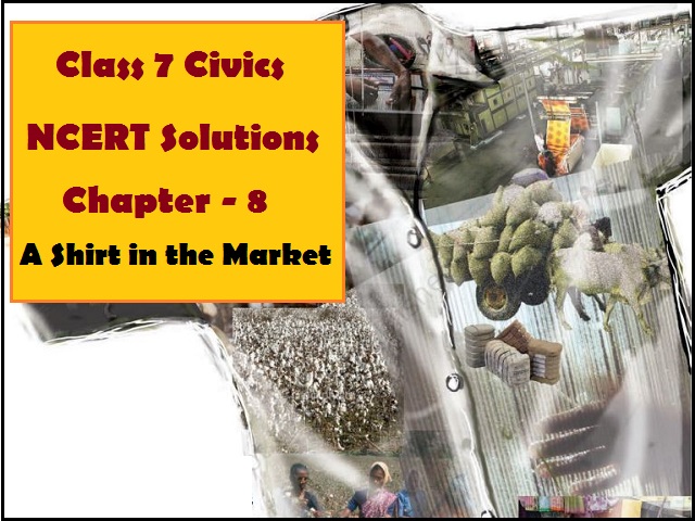 NCERT Solutions for Class 7 Social Science Civics Chapter 8 - A Shirt in the Market