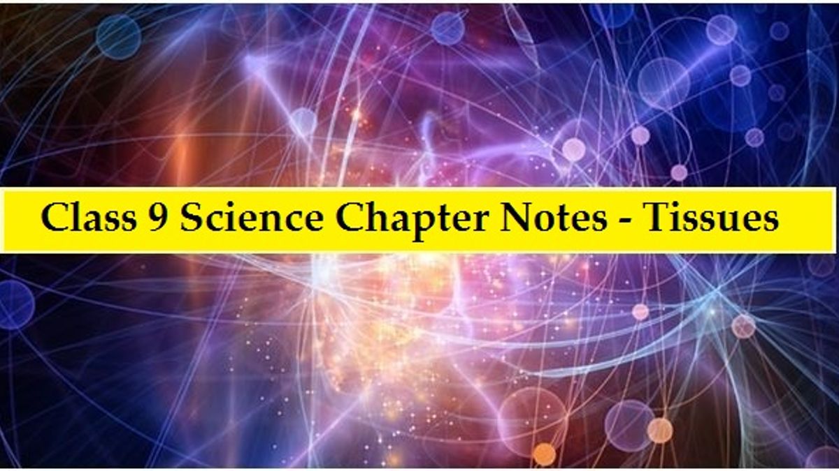 CBSE Class 9 Science Notes for Chapter 6 Tissues| (Part-II)