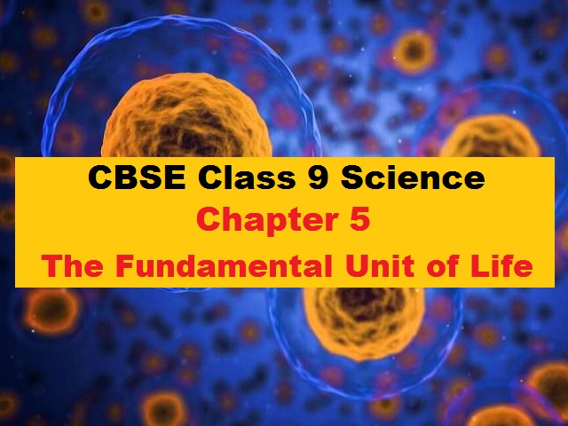 Is the basic of life unit what CELLS