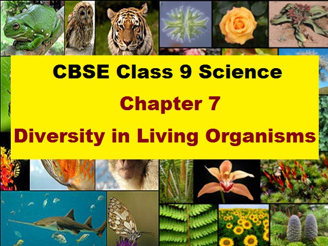CBSE Class 9 Science 2020-21: Check Important Extra Questions for Chapter 7  Diversity in Living Organisms