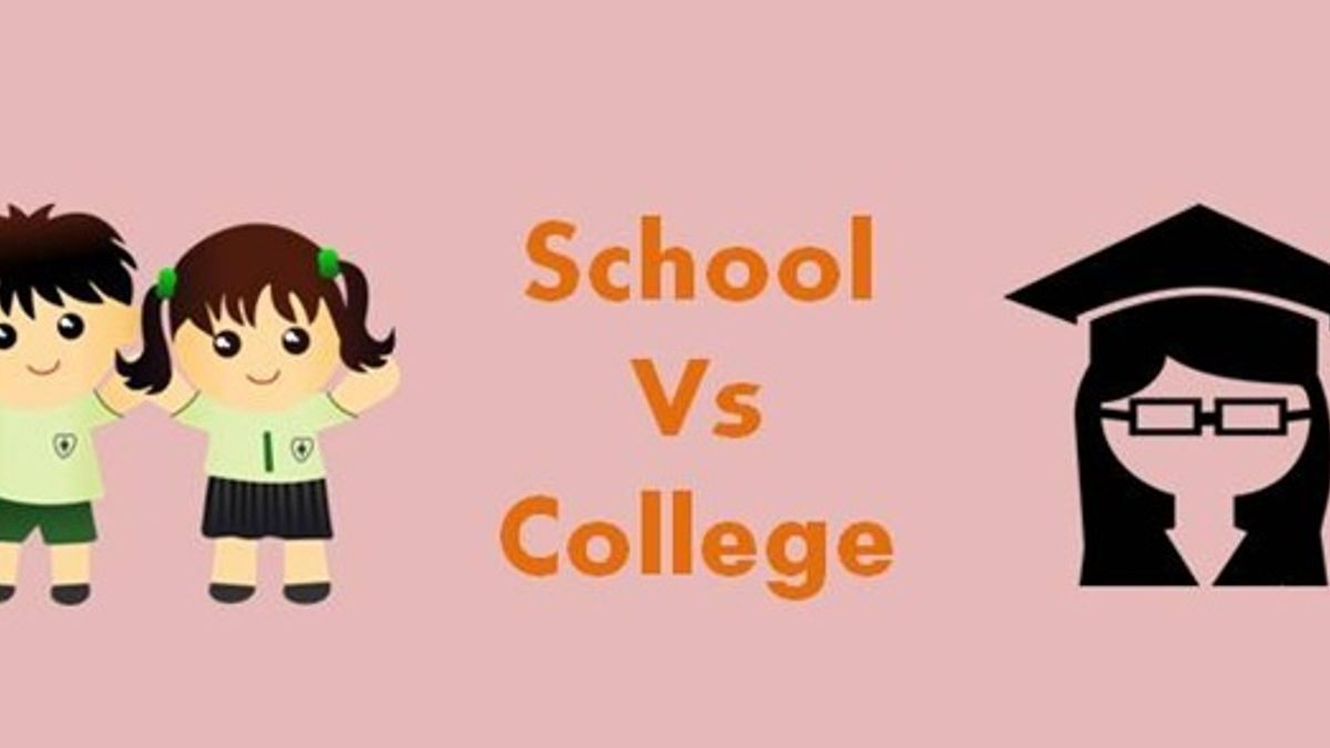 difference between school and college