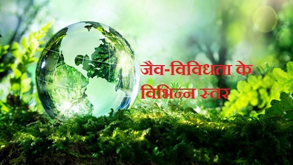 hindi-different-levels-of-biodiversity