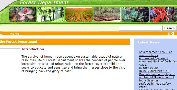 Delhi Forest Guard Admit Card Released @forest.delhigovt.nic.in, Download DOFW Admit Card Here