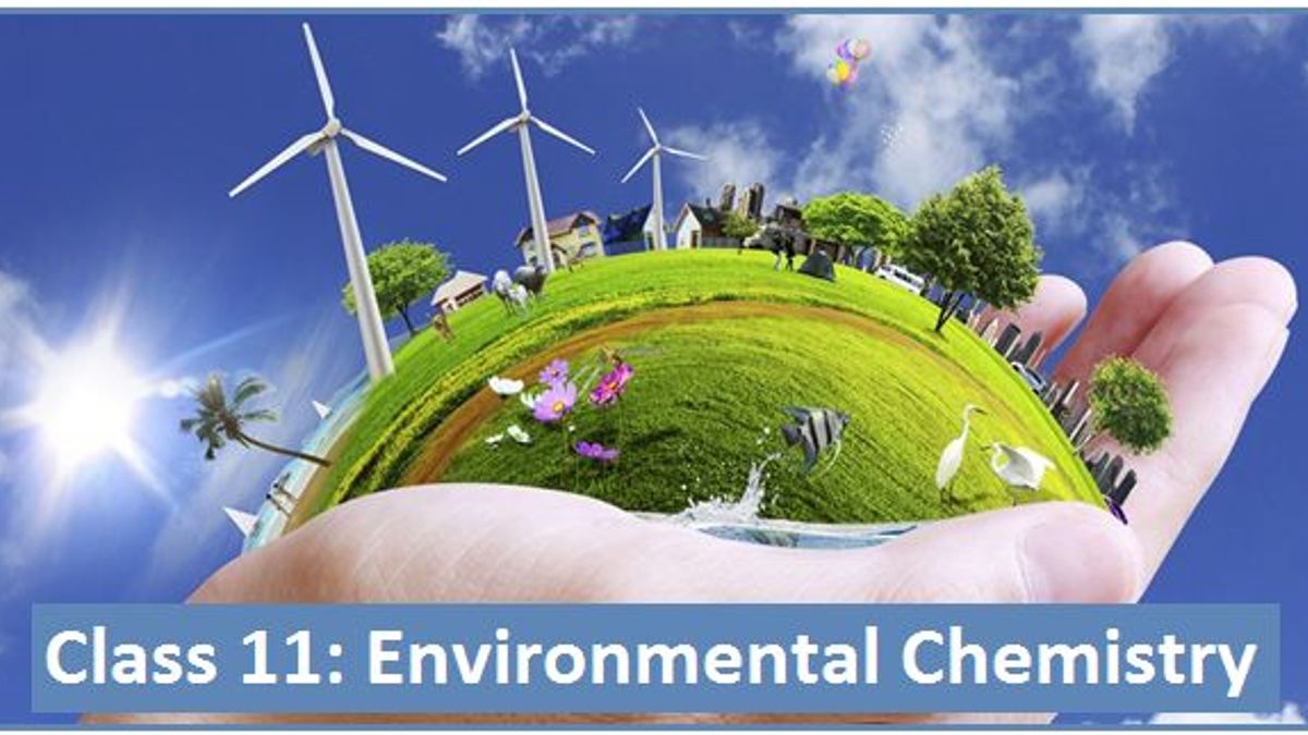 CBSE Class 11 Chemistry NCERT Solutions: Chapter 14, Environmental Chemistry