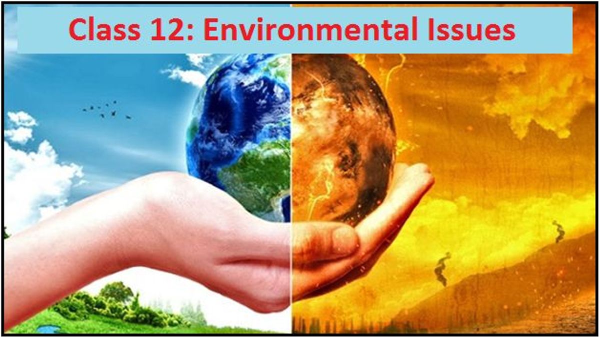 Class 12 Environmental Issues NCERT Exemplar Solutions