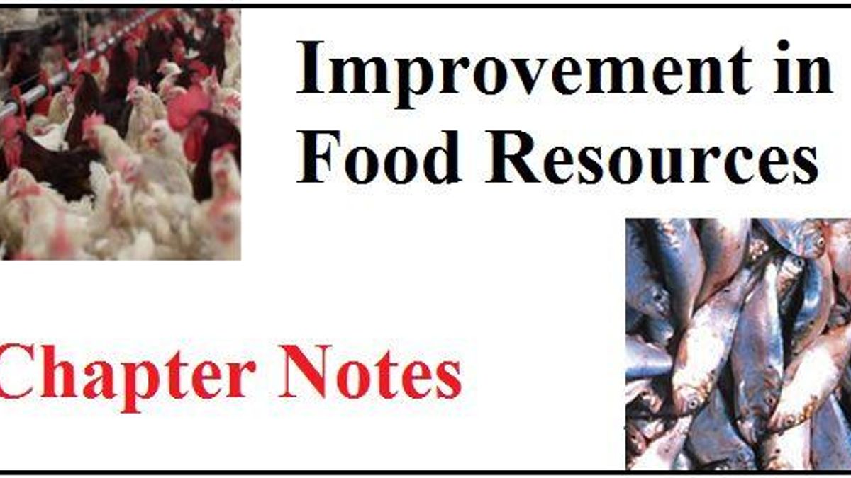 CBSE notes Class 9: Improvement in Food Resources Part-III