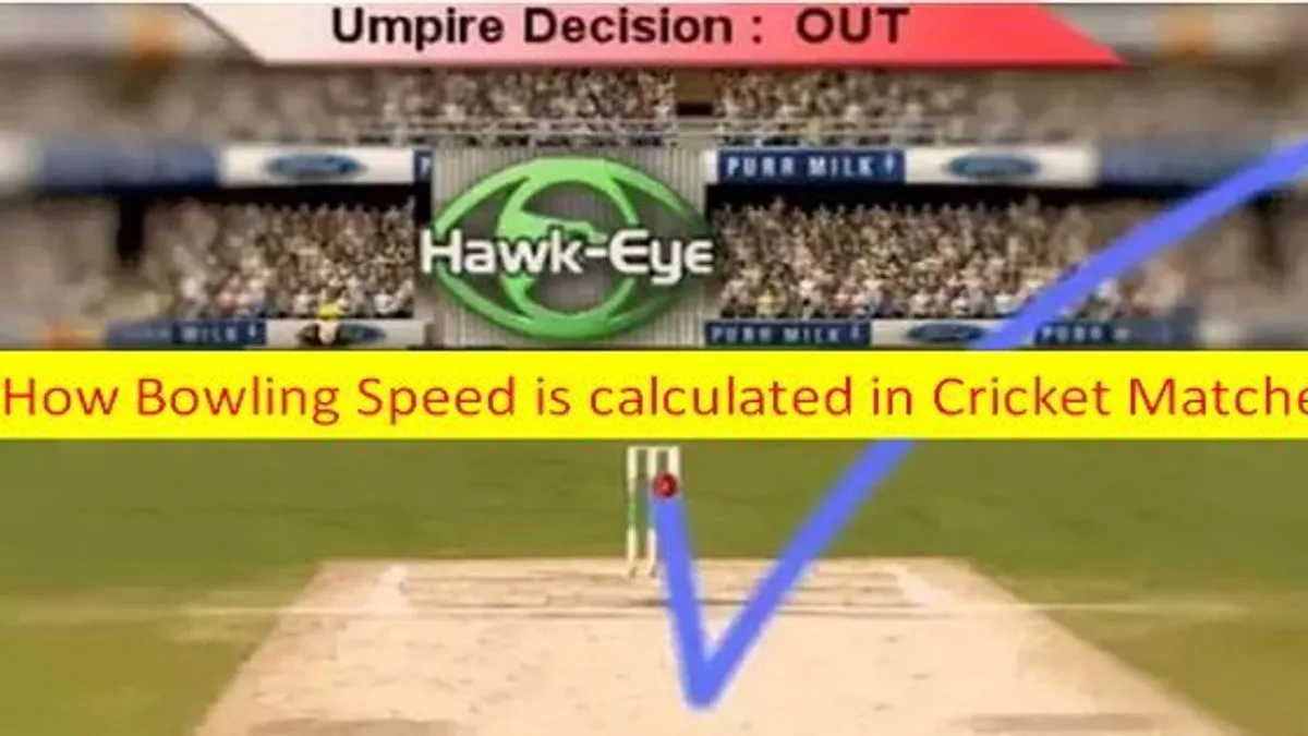 Hawk Eye Technology in Cricket