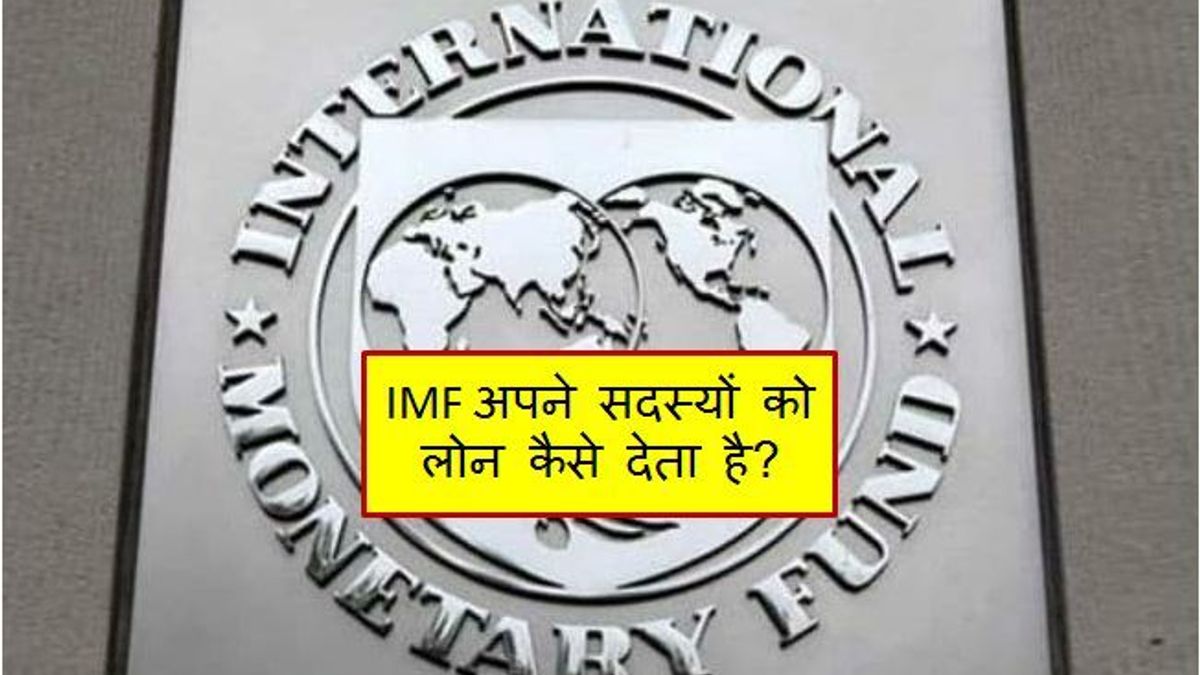 IMF Logo