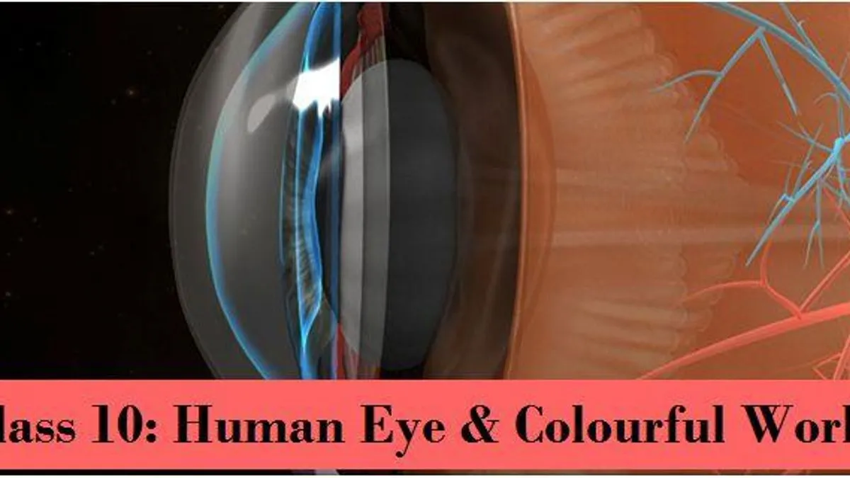 NCERT Solutions For Class 10 The Human Eye And The Colourful World ...