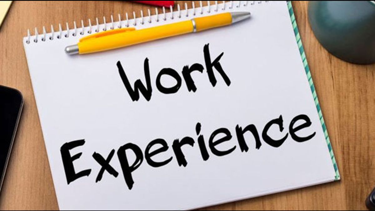 Why work experience is essential for college students | College