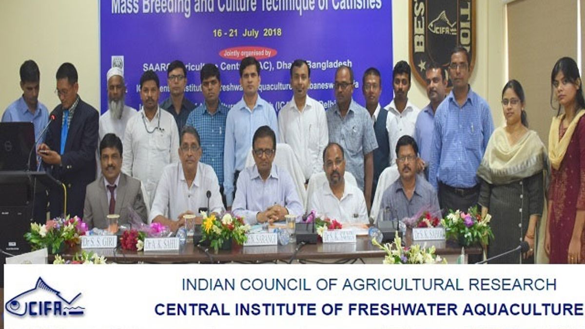 CIFA Recruitment 2019 Walkin for 07 Young Professional II Post
