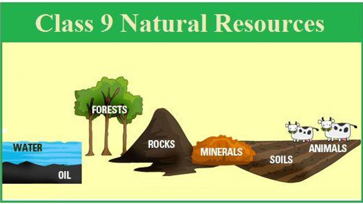 Science Project On Natural Resources For Class 9