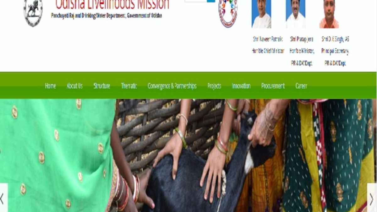 Odisha Panchayati Raj recruitment 2020: Online Application Started @olm.nic.in for 817 Project Asst & Other Posts