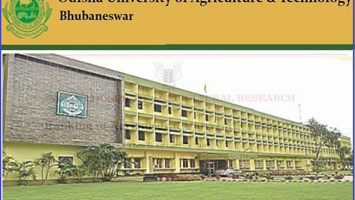 OUAT Recruitment 2019 for 16 Young Professional and Other Posts, Walk-in on July 3