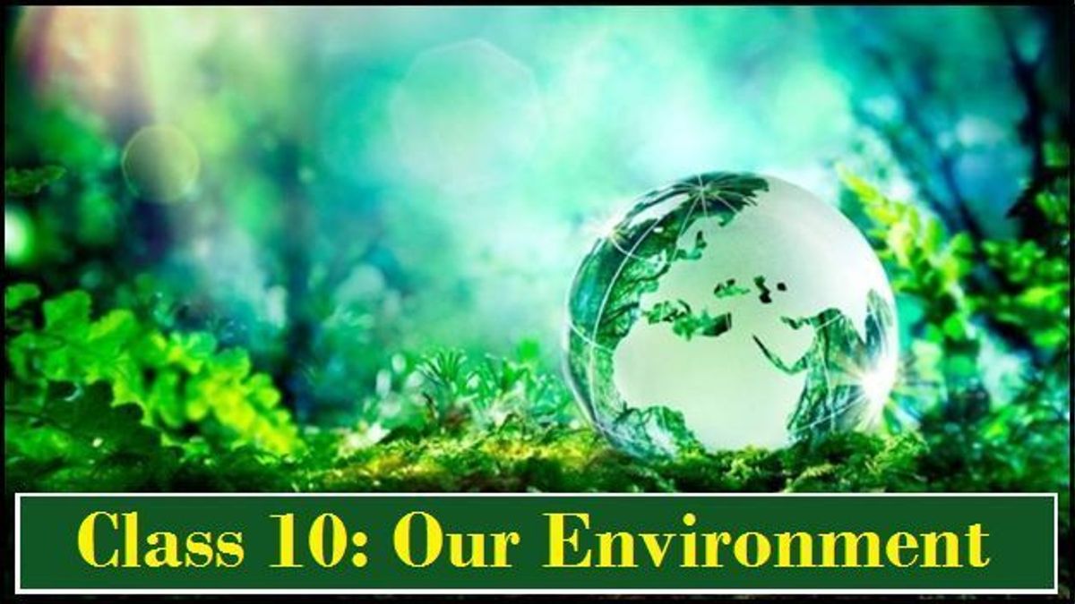 NCERT Class 10 Science Solutions for Chapter15 Our Environment PDF