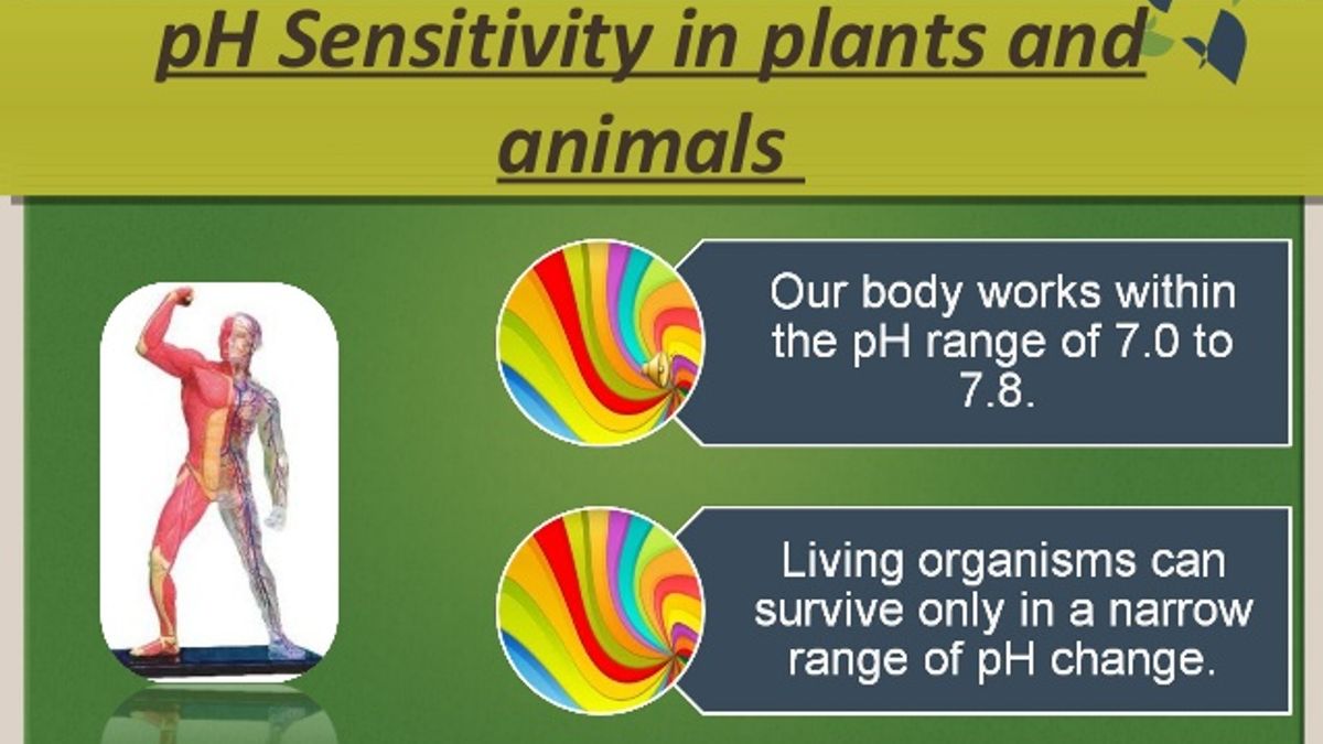 Do you know that Plants and Animals are pH sensitive?