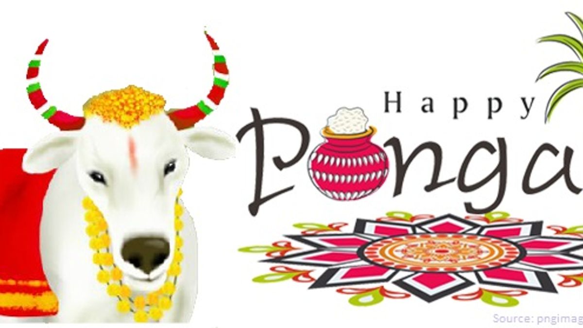 हिंदी- Pongal Festival- History, Significance and Importance