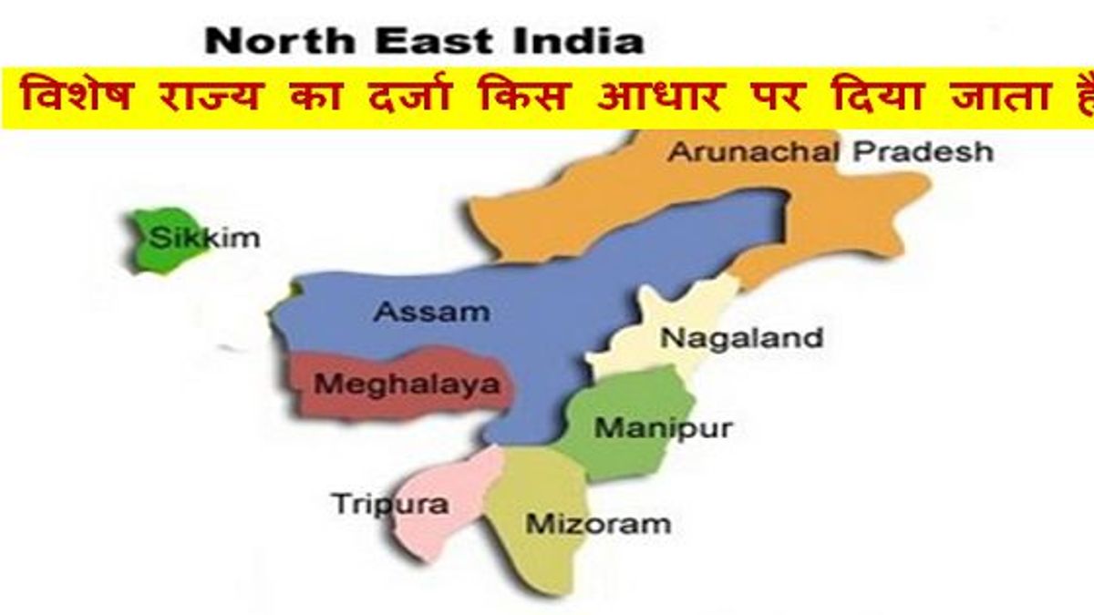 What is special category status
