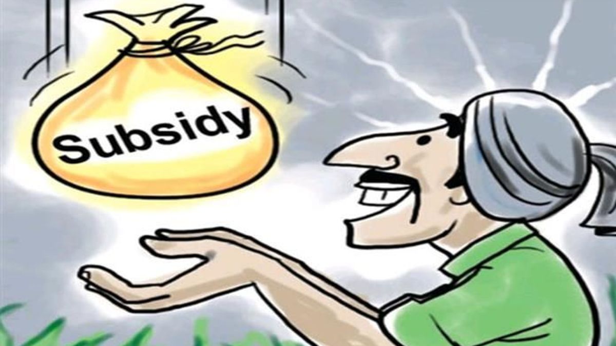 subsidy-definition-type-and-impacts-on-the-indian-economy