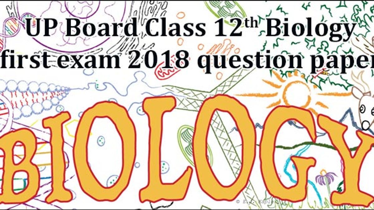 UP Board Class 12 Biology First Question Paper