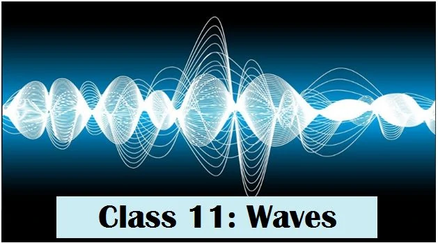 Class 11 NCERT Solutions For Physics Chapter- Waves