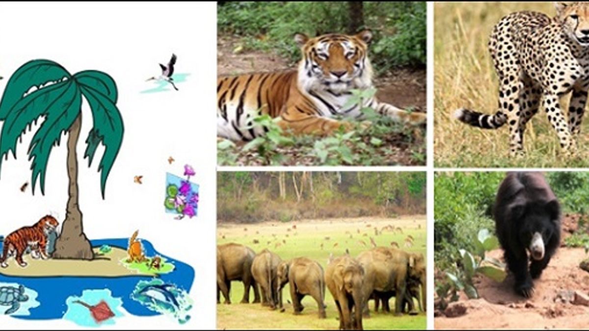 GK Questions and Answers on the India's Wildlife Conservation Projects
