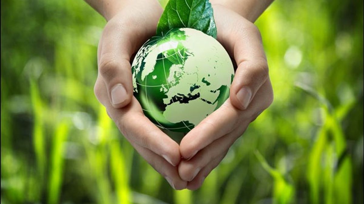 World Environment Day 2019: Proven ways to save environment and money
