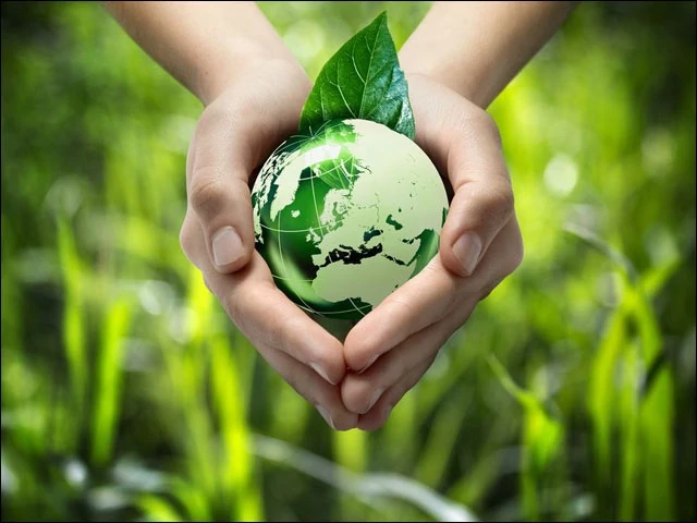 World Environment Day 2019: Proven ways to save environment and money