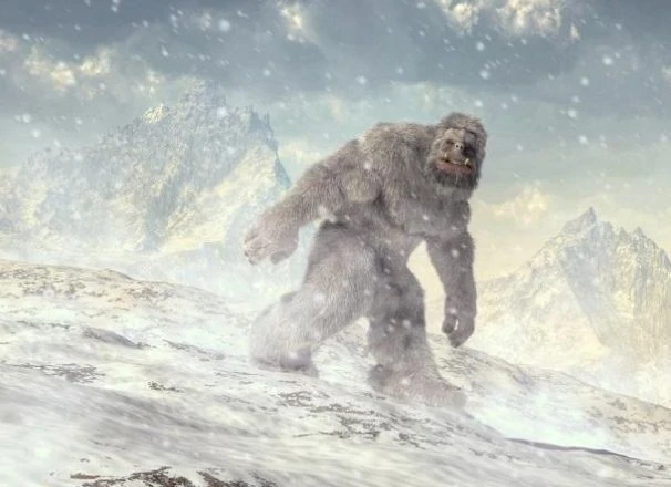 10 things you may not know about the Yeti