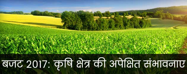 बजट 2017: कृषि क्षेत्र की अपेक्षित संभावनाएं