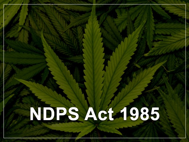 What is the Narcotic Drugs and Psychotropic Substances Act (NDPS) Act of 1985?