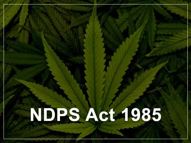 ndps-act-what-is-the-narcotic-drugs-and-psychotropic-substances-ndps