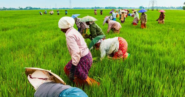 भारत सरकार ने किया एग्रीकल्चर इन्फ्रास्ट्रक्चर फंड मंजूर
