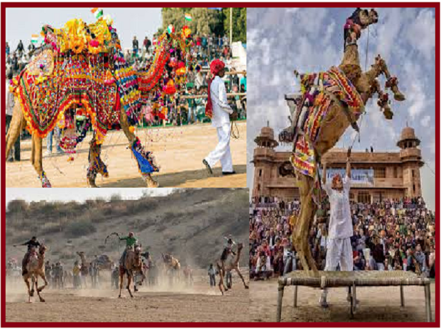 Bikaner Camel Festival 2020: History and Interesting Facts