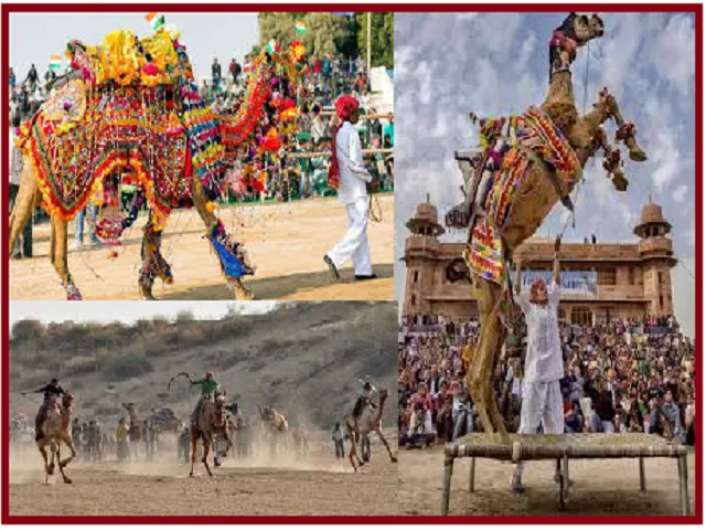 Bikaner Camel Festival 2020