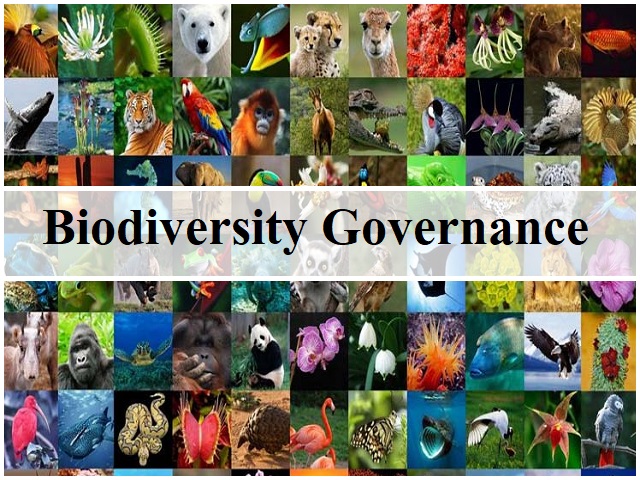 What is Biodiversity Governance?
