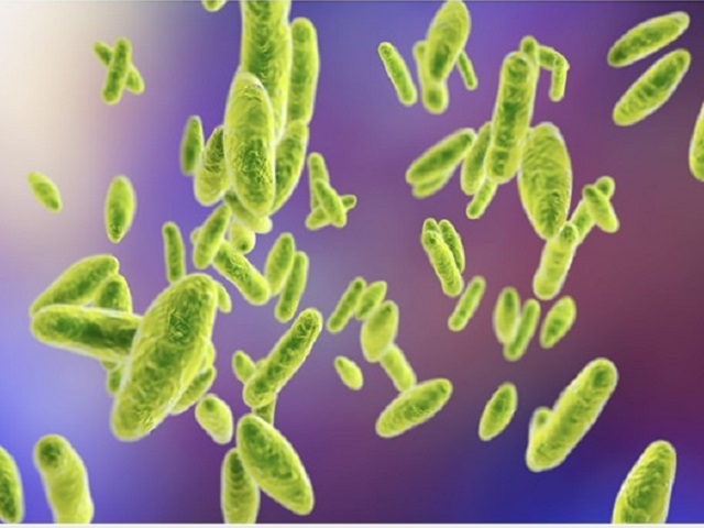 Brucellosis outbreak in China, thousands infected after leak at biopharmaceutical factory