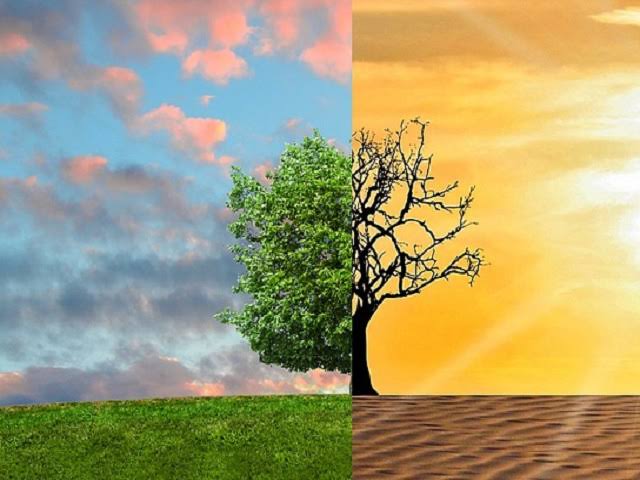 भारत जलवायु परिवर्तन प्रदर्शन सूचकांक में नौवें स्थान पर