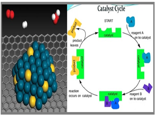 What are catalysts?