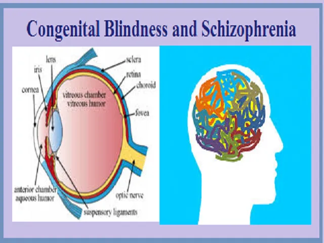 What Is Congenital Blindness And Schizophrenia