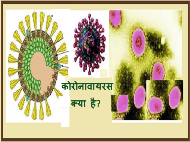 कोरोनावायरस क्या है, इसके लक्षण, उपचार और प्रकार