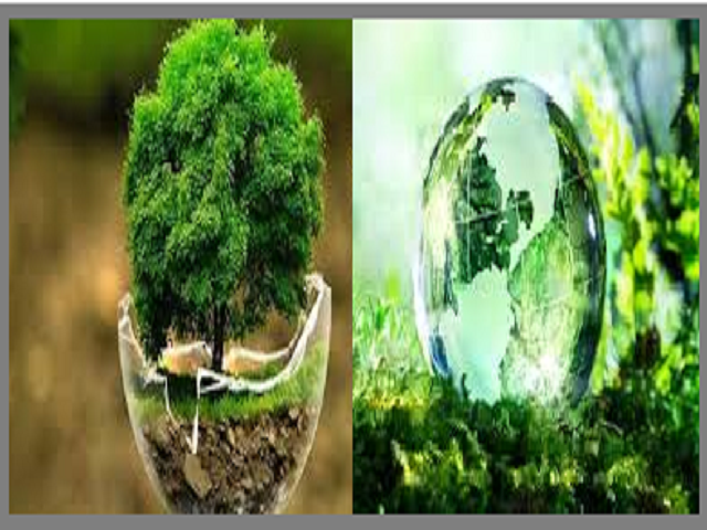GK Quiz on World Environment Day