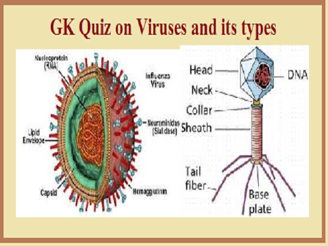 GK Questions and Answers on Types of Viruses (Biology)