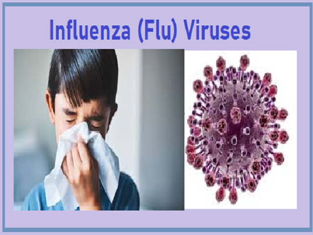 Influenza (Flu) Viruses: Types, Symptoms, Naming and Vaccine