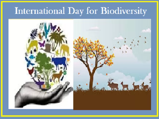 International Day for Biodiversity 