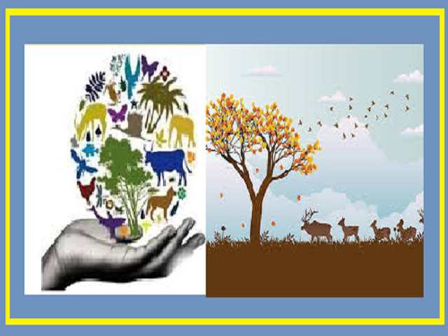 International Day for Biodiversity (IDB) 2020: वर्तमान थीम, इतिहास और महत्व