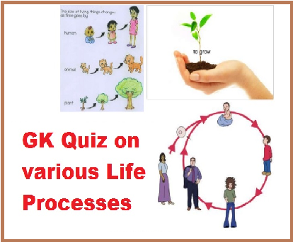 GK Quiz on various Life Processes