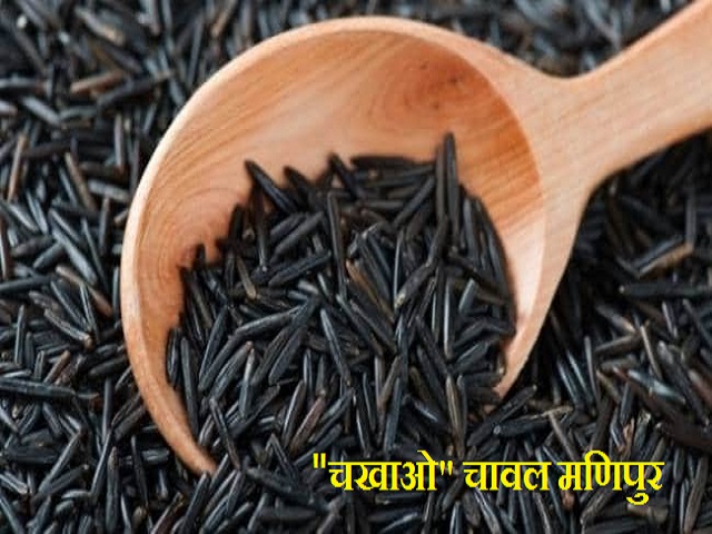 मणिपुर ब्लैक राइस को ज्योग्राफिकल इंडिकेशन (GI) टैग: जानें क्या है इसका मतलब